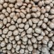 Milk Chocolate Peanuts